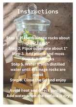 Load image into Gallery viewer, Terrarium kit