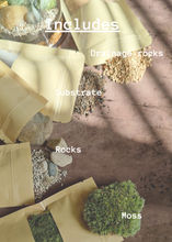 Load image into Gallery viewer, Terrarium kit