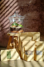Load image into Gallery viewer, Terrarium kit