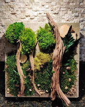 Load image into Gallery viewer, Preserved Moss Frame Workshop August 2nd, 2023, . 7PM-8PM
