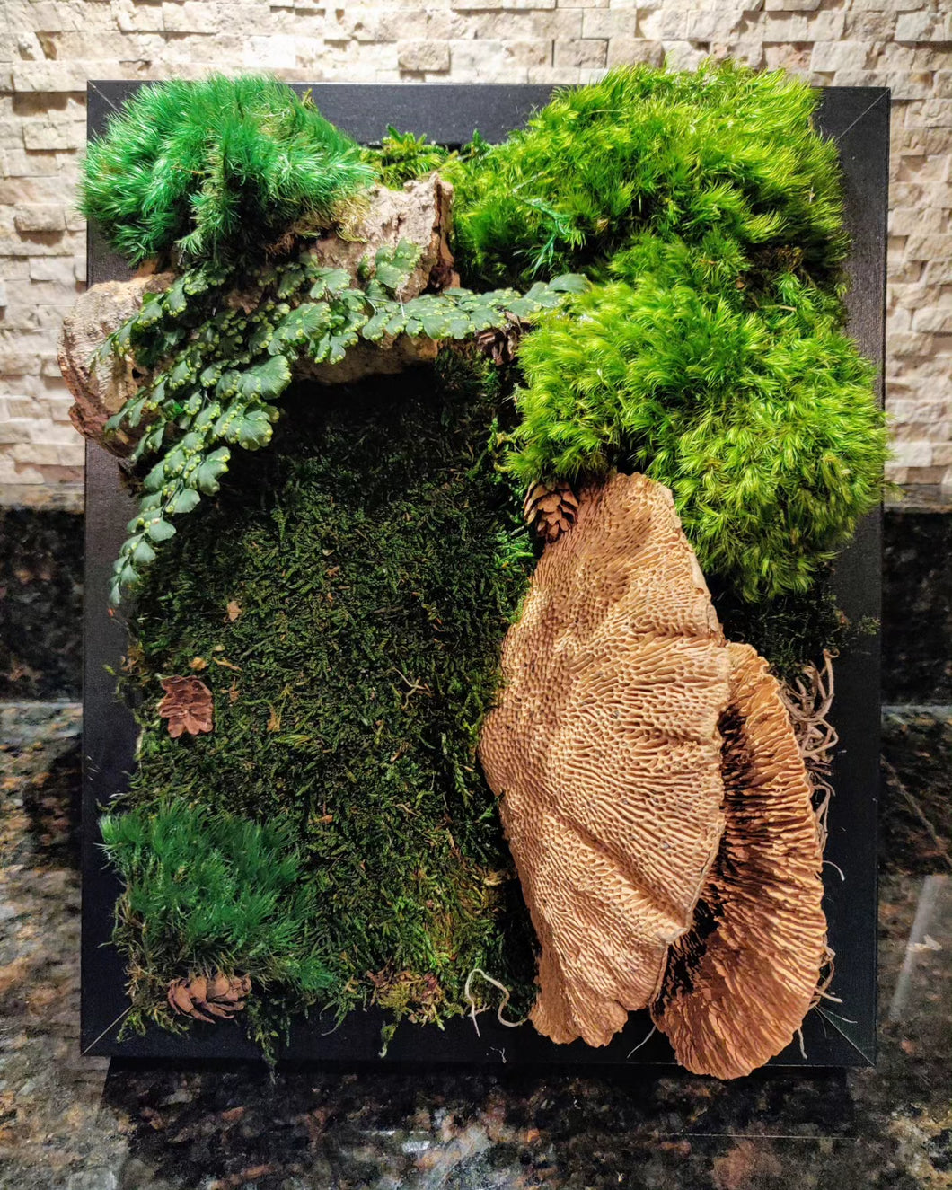 Preserved Moss Frame Workshop August 2nd, 2023, . 7PM-8PM