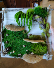 Load image into Gallery viewer, Preserved Moss Frame Workshop August 2nd, 2023, . 7PM-8PM
