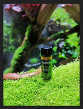 Load image into Gallery viewer, Dr. Moss, Terrarium doctor for green and healthy moss
